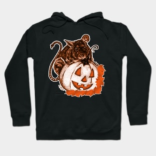 Cute Halloween Rat and Pumpkin Graphic With Fall Leaves Hoodie